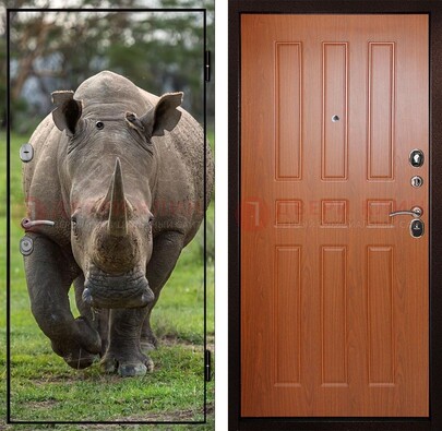Металлическая дверь с фотопечатью носорога ДФ-31 в Щелково